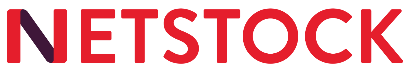 Netstock updated logo